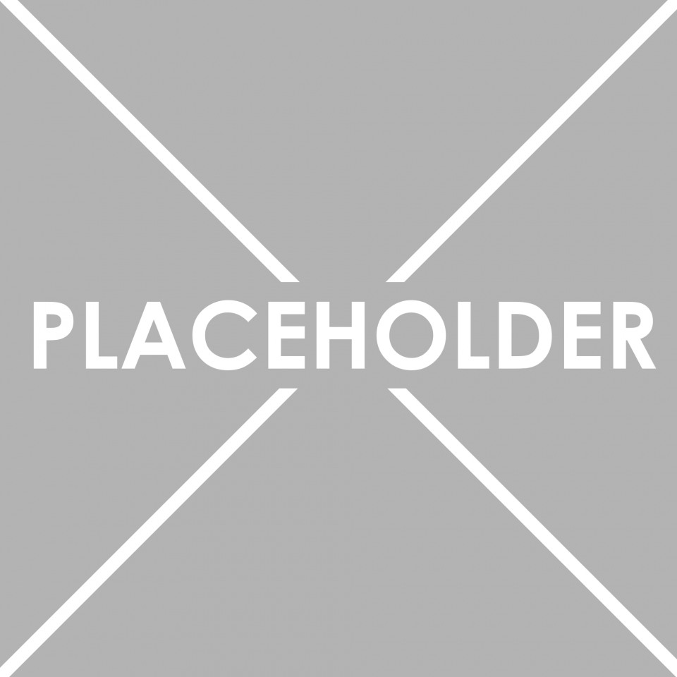 placeholder-4